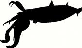 Water (1) vinyl decal